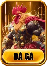 đá gà hubet